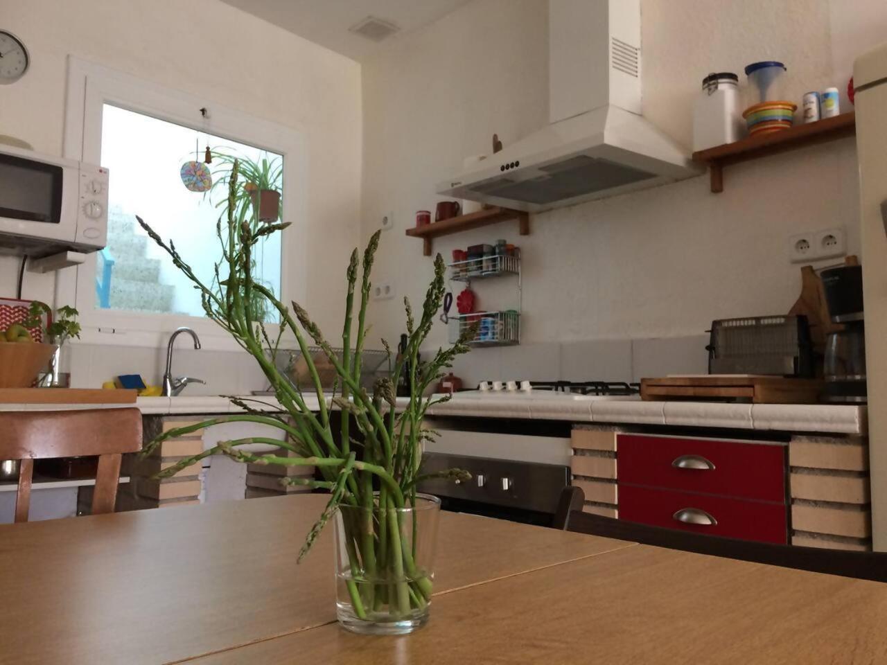 Casa Taller Penelles Penellas Екстер'єр фото